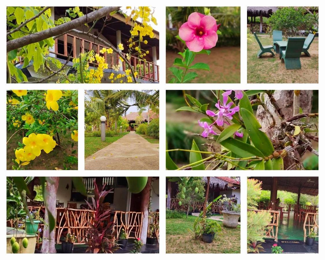 Pearl Cave Cabanas & Resturant Tangalle Buitenkant foto